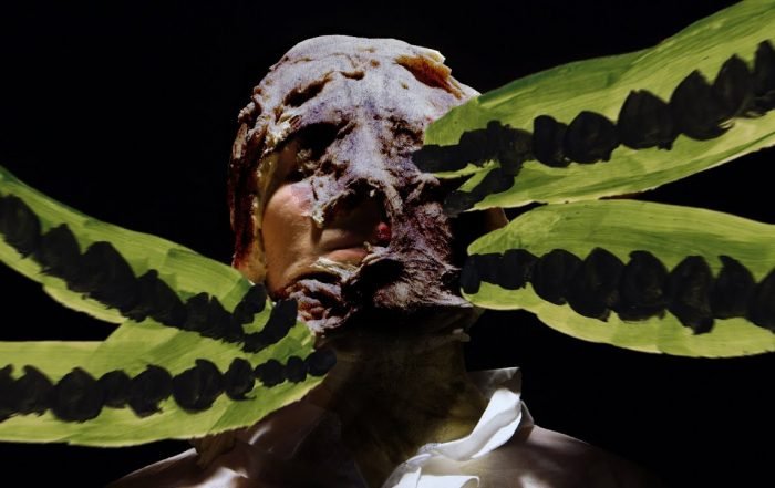 "Ancient Dialogue" - Narducci [Official Music Video] (Video)