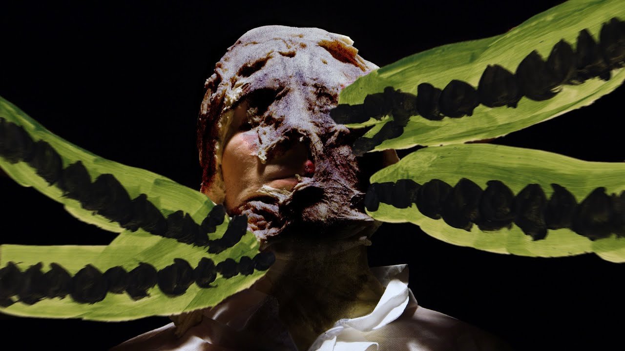 "Ancient Dialogue" - Narducci [Official Music Video] (Video)