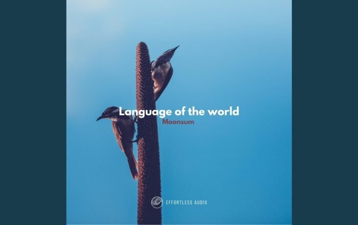 Moonsum - Language of the World (Video)