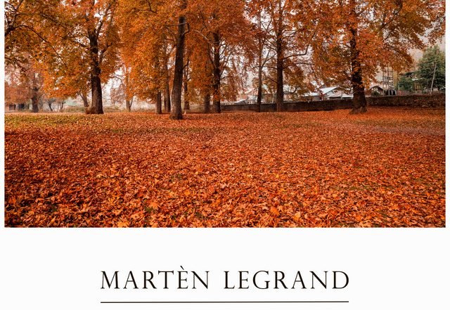 Martèn LeGrand - Fields Of Fallen Leaves (Spotify)