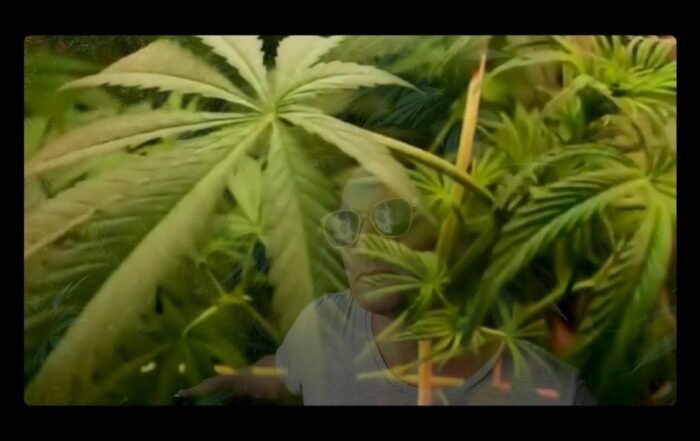 Camille Murray "Amnesia Love" (Video)