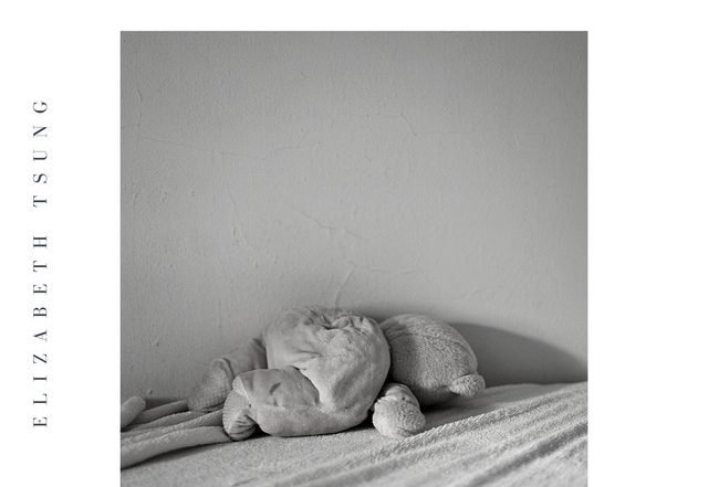 Elizabeth Tsung - Ursus Maritimus (Spotify)