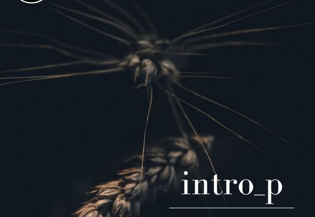 intro_p - Promises (Spotify)