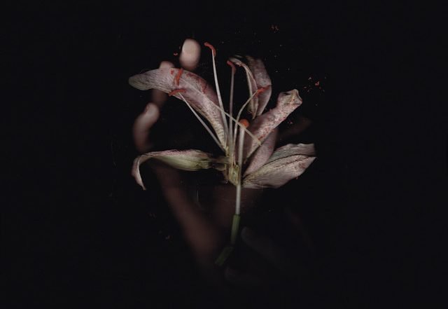 Daniel Blacksmith - Autogénesis (Spotify)