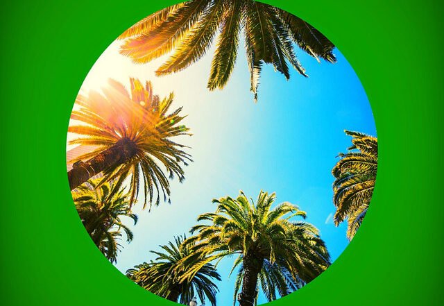 Clockwork - Evergreen Weather (Spotify)