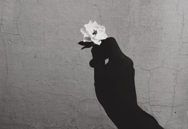 du0 x Trenton - Shadows (Spotify)