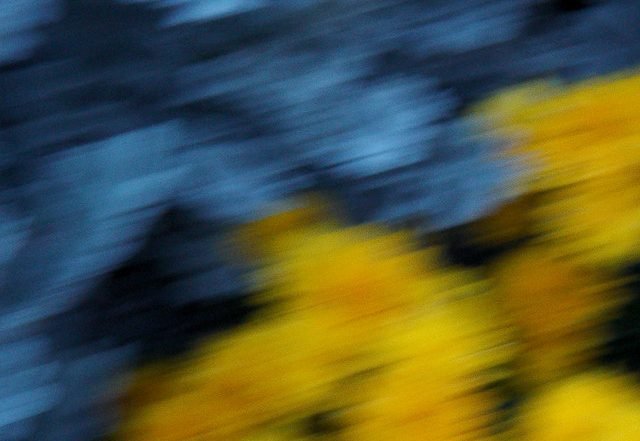 Floraleda Sacchi - Primavera (Spotify)