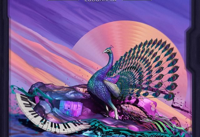 Hypnotic Peafowl - The Mind Box (Spotify)