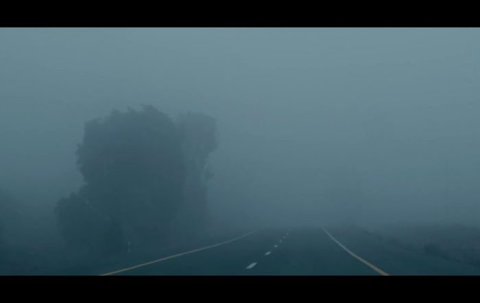 Joshua Carlton - Her grand arrival (Video)