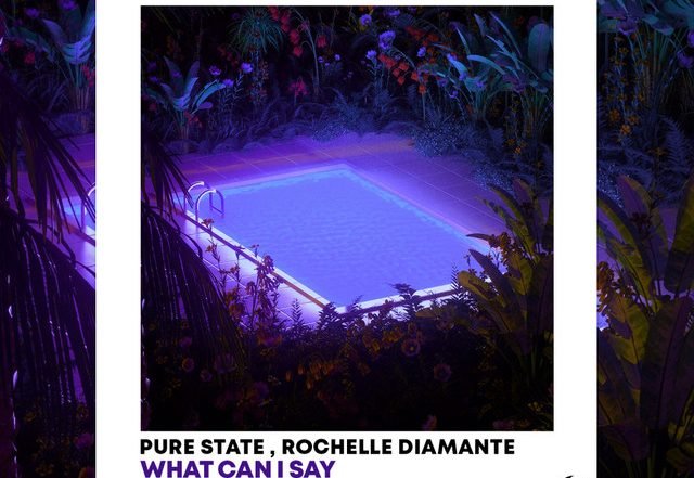 Pure State - What Can I Say - Radio Edit (Spotify)