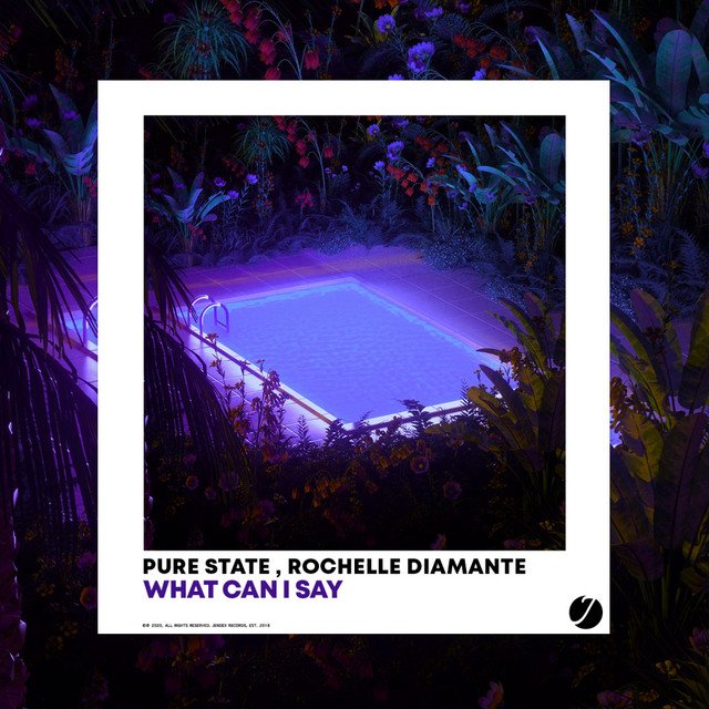 Pure State – What Can I Say – Radio Edit (Spotify)