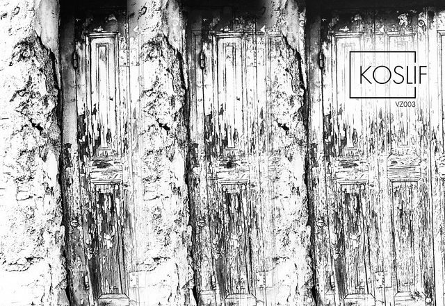 Victor Zala - Laika (Spotify)