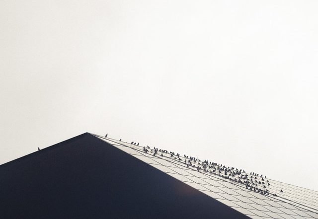 Adriano Koch - I LOVE YOU SADNESS (Spotify), Neoclassical music genre, Nagamag Magazine