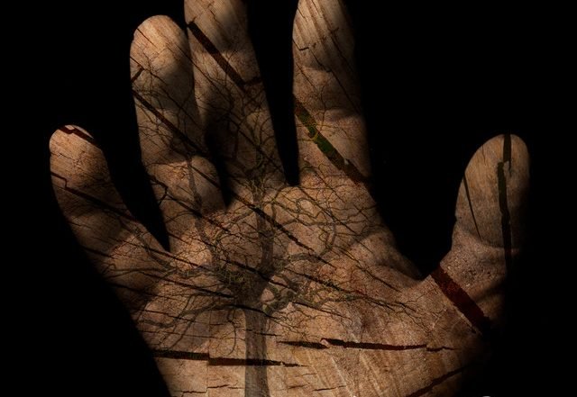 Andrea Sertori - Oak Hands (Spotify)