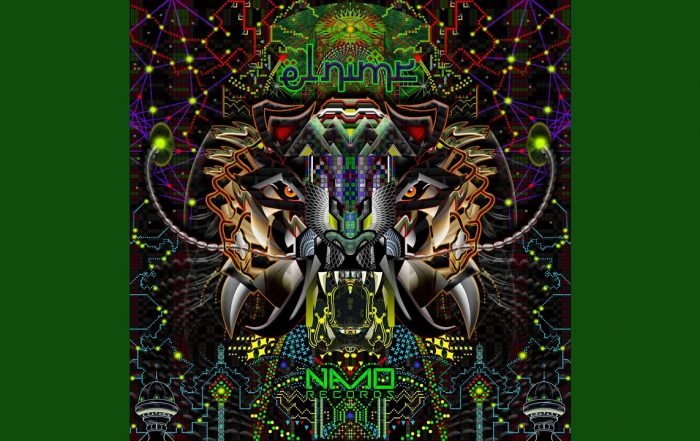 Audiopathik - Everything Is Possible (Video)