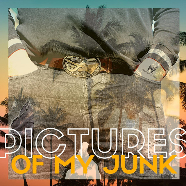 Brothers Of Song – Pictures of My Junk (Spotify)