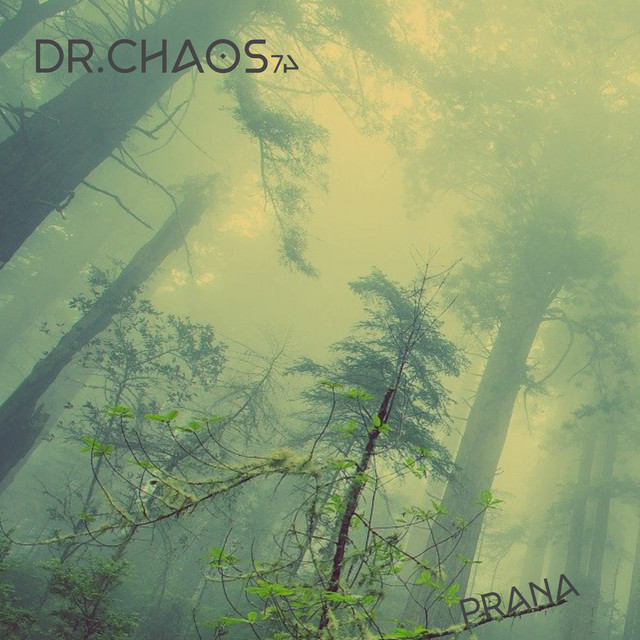 Dr.Chaos74 – Prana (Spotify)