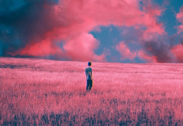 Loome - Love is Pretty (Spotify)