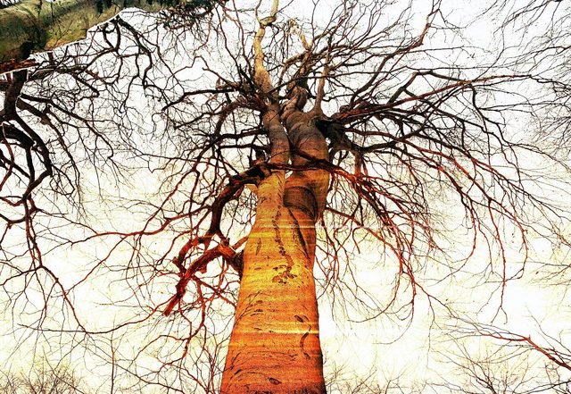 Saah - Changes (Spotify), Neoclassical music genre, Nagamag Magazine