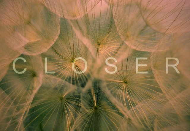 Sine - Closer (Spotify), Electronica music genre, Nagamag Magazine