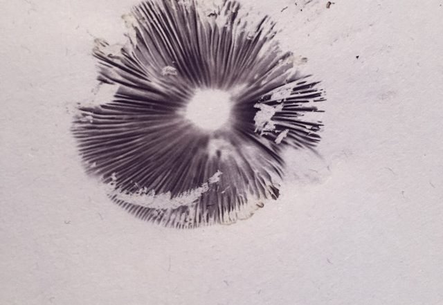 Alex Marchisone - Spores, Pt. 2: The Circle (Spotify), Neoclassical music genre, Nagamag Magazine