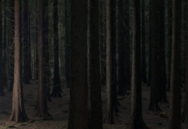 HRDY - Brother (Spotify), Neoclassical music genre, Nagamag Magazine