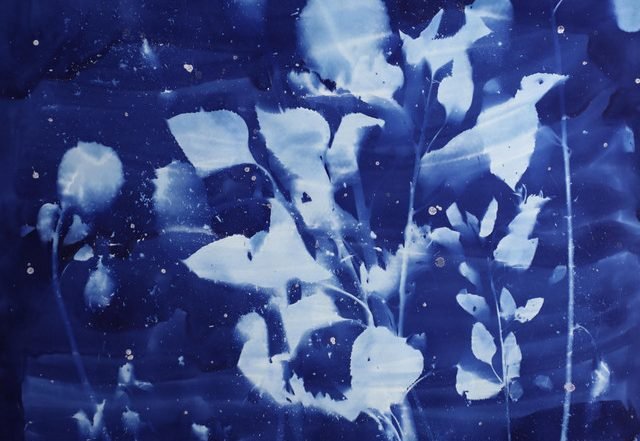 Magnetic Vines - Quiet Old Shipwreck (Spotify), Neoclassical music genre, Nagamag Magazine