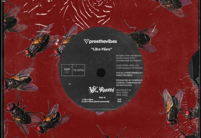 Preethevibes - Like Flies (Spotify), Pop music genre, Nagamag Magazine