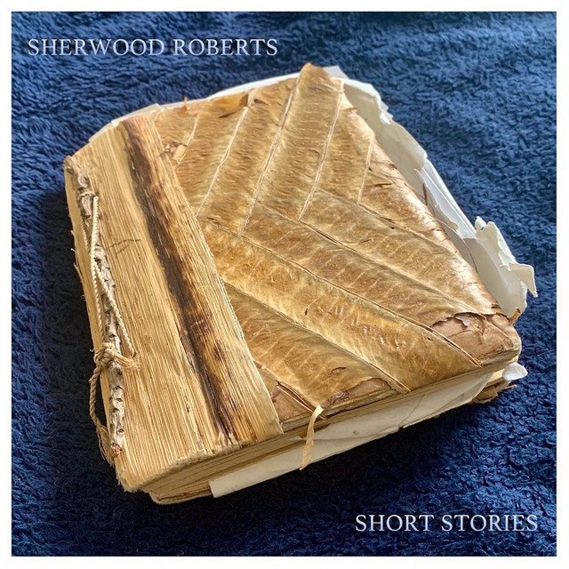 Sherwood Roberts - flight (Spotify), Neoclassical music genre, Nagamag Magazine
