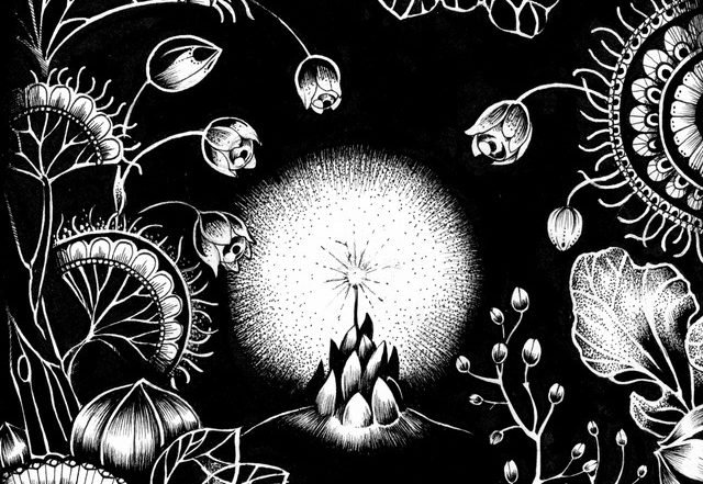 Thomas Barrandon - Miracle (Spotify), Blogwave music genre, Nagamag Magazine