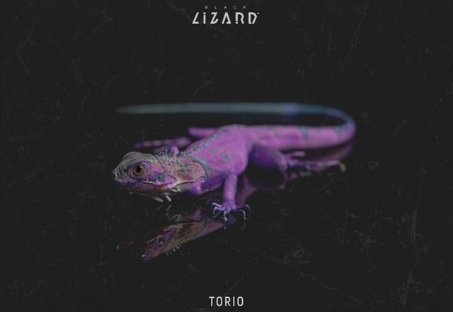 Torio - Gravity (Spotify), House music genre, Nagamag Magazine