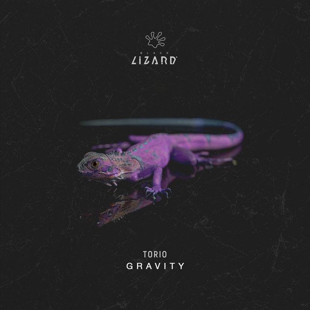 Torio - Gravity (Spotify), House music genre, Nagamag Magazine