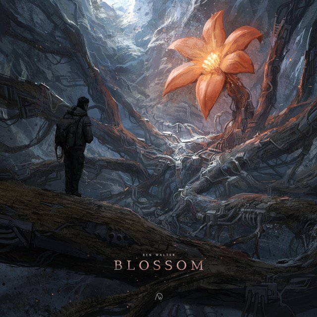Ben Walter - Blossom (Spotify), Electronica music genre, Nagamag Magazine