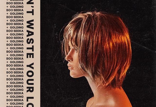 Boo Seeka, Golding - Don't Waste Your Love (Spotify), Pop music genre, Nagamag Magazine