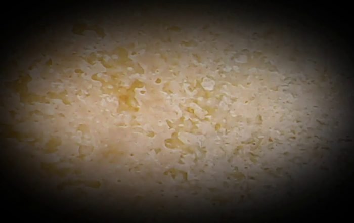 Diane Arkenstone - Safe in the Angel's Wing (Video), Neoclassical music genre, Nagamag Magazine