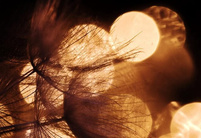 Fransoafran - A Wish (Spotify), Neoclassical music genre, Nagamag Magazine