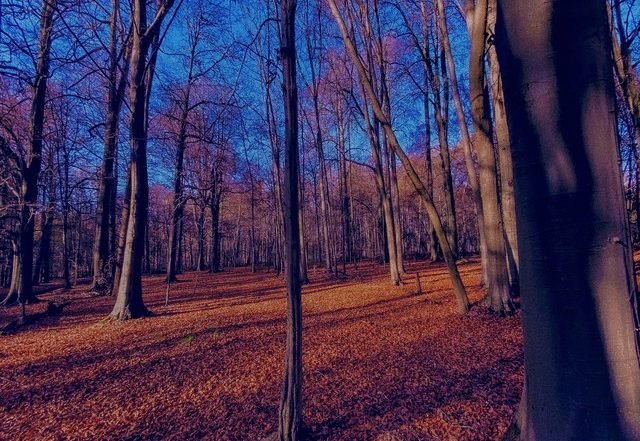 Jop, Ben Thomas - Overload - Instrumental (Spotify), Jazz music genre, Nagamag Magazine