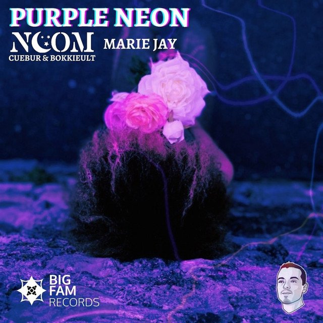 Noom, Cuebur, Bokkieult, Marie Jay - Purple Neon (Spotify), House music genre, Nagamag Magazine