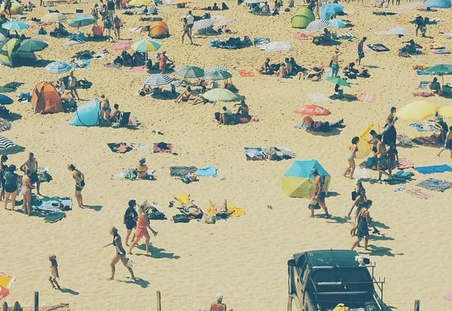 flamingo zamperoni - sun of a beach (Spotify), Jazz music genre, Nagamag Magazine