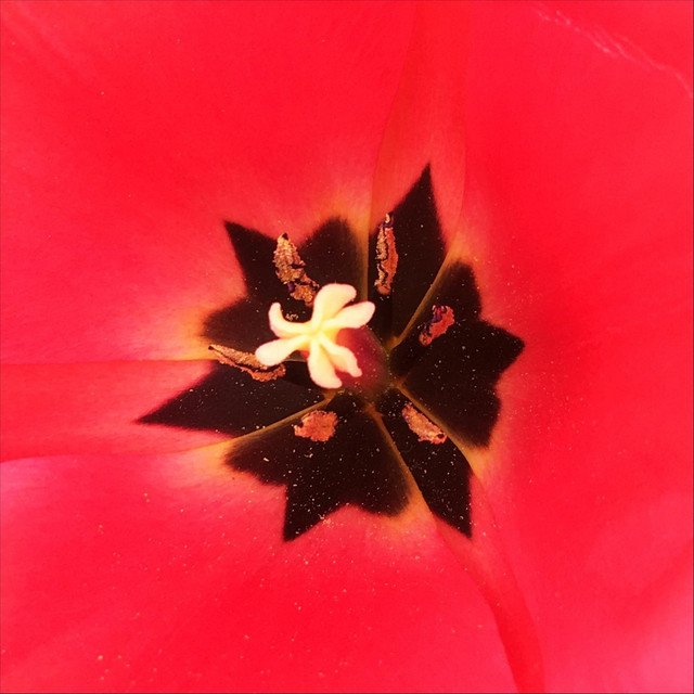 Max RM – Thinking & Talking (Spotify)