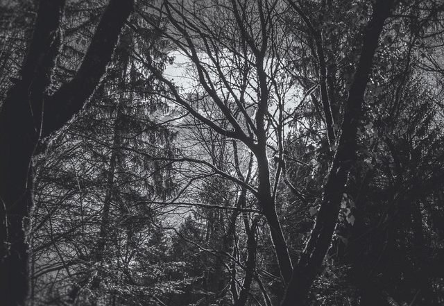 Owen Baldwin - The Shrine (Spotify), Neoclassical music genre, Nagamag Magazine