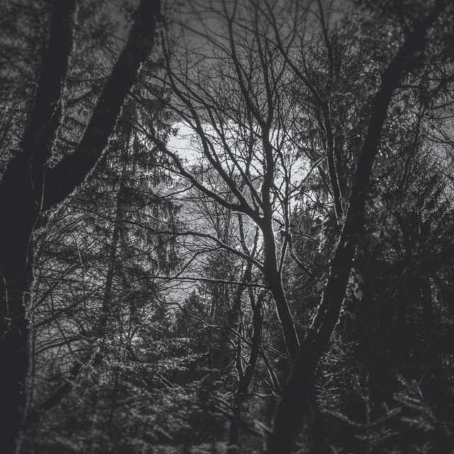 Owen Baldwin - The Shrine (Spotify), Neoclassical music genre, Nagamag Magazine