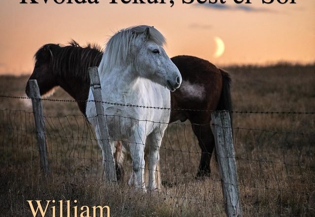 Traditional Music, William Ogmundson - Kvölda Tekur, Sest Er Sól - song by Traditional Music, William Ogmundson | Spotify (Spotify), Neoclassical music genre, Nagamag Magazine