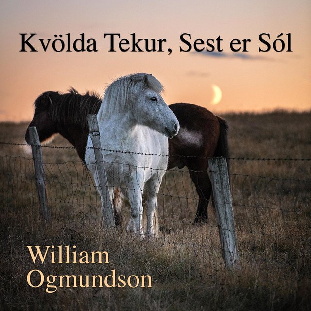 Traditional Music, William Ogmundson – Kvölda Tekur, Sest Er Sól – song by Traditional Music, William Ogmundson | Spotify (Spotify)