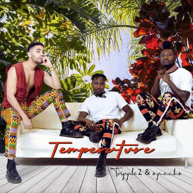 Tripple 2, SPECKS - Temperature (Spotify), Pop music genre, Nagamag Magazine