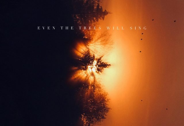 Woulds - Even the Trees Will Sing (Spotify), Neoclassical music genre, Nagamag Magazine