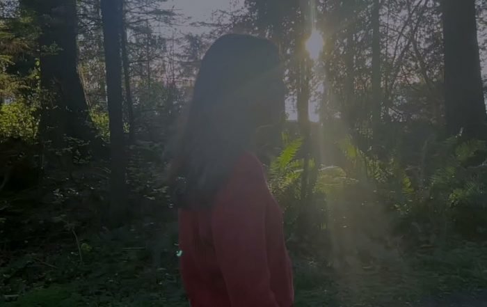 At Dawn - Losing You (feat. Hannah Harlacher) (Video), Electronica music genre, Nagamag Magazine