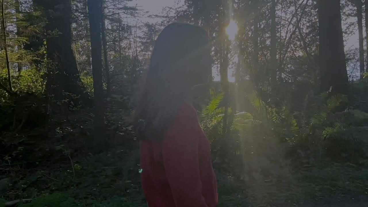 At Dawn - Losing You (feat. Hannah Harlacher) (Video), Electronica music genre, Nagamag Magazine