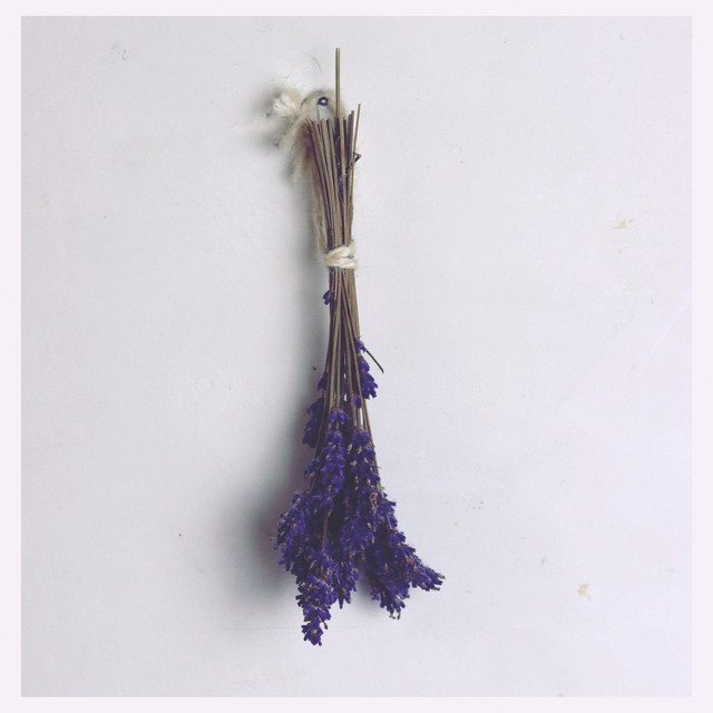 I Shiver – Too Many Miles (Spotify)