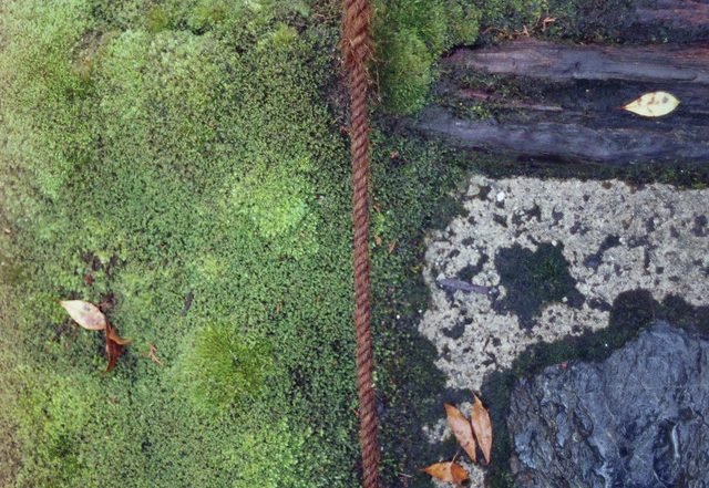 Impakt, W/U - Journey (Spotify), Electronica music genre, Nagamag Magazine